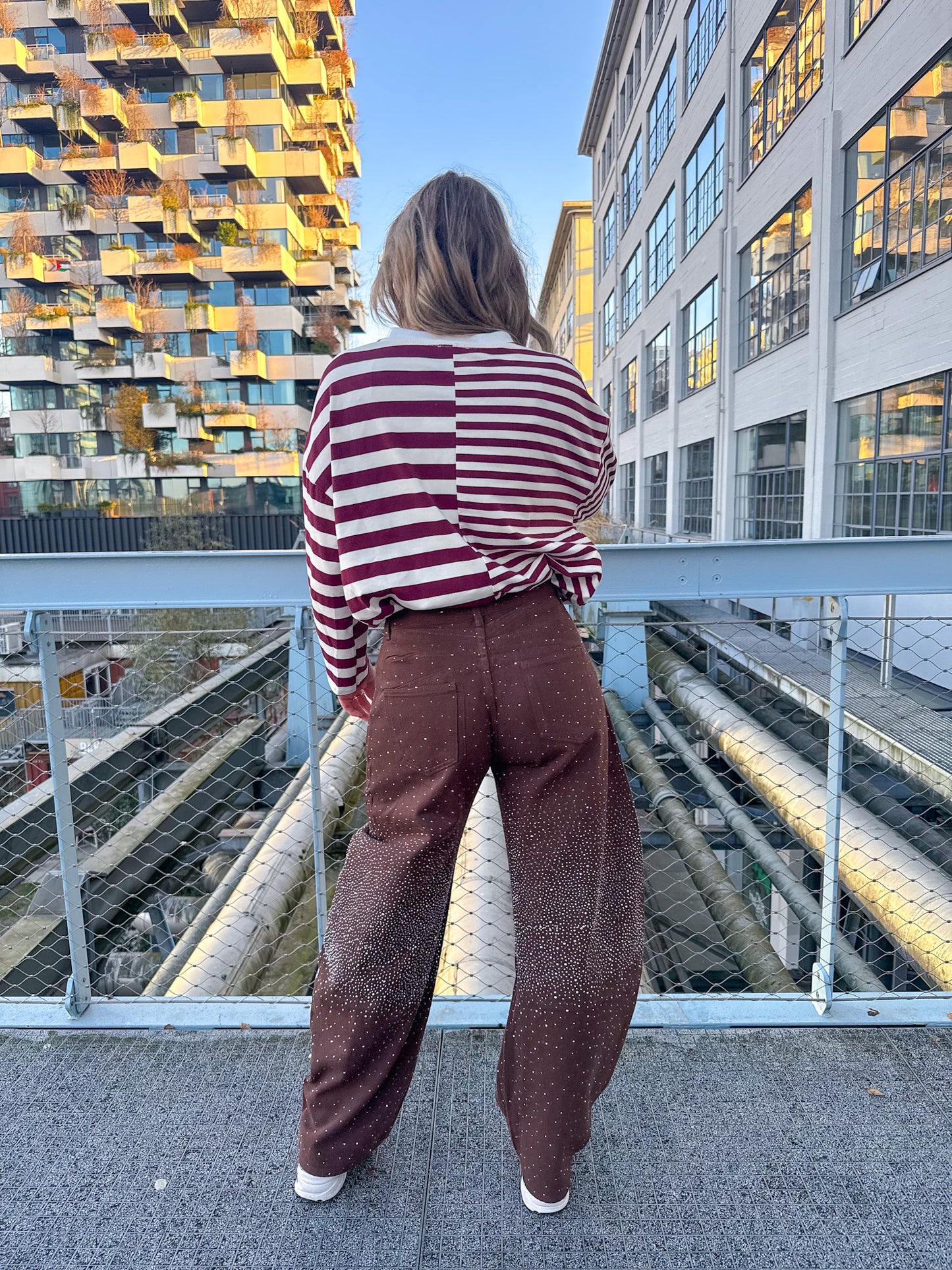 Amy Langarmshirt gestreift Burgund